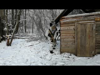 Рггр