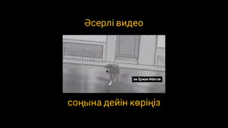 күшік ақылды