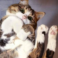 Ксюша Усова