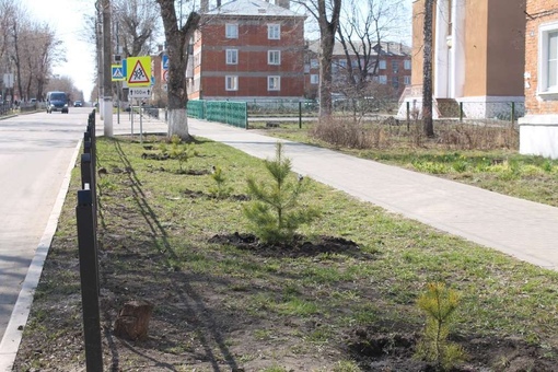 Киреевск 1 июня. Киреевск 1 июня. Киреевский интернат. Киреевск мемориальный сквер субботник 2015 год. Киреевск 1 июня.