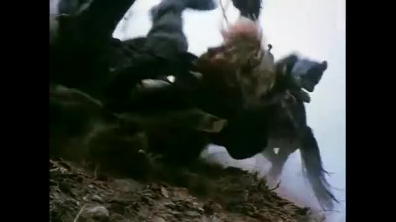 Видео от Oscar Betalleluz