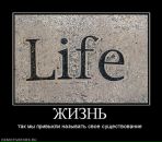 Фотография Владимир Кудрявцев