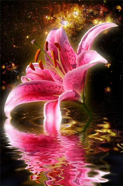 №2, Лилия Андрийчук, 45 лет, Винница №2, Лилия Андрийчук, 45 лет, Винница