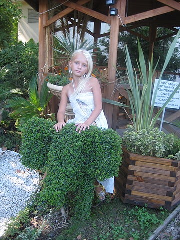 №40, М-а-р-и-ш-к-а ..., Сочи №40, М-а-р-и-ш-к-а ..., Сочи