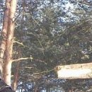 №94, Маша Ганенко, 33 года, Киев №94, Маша Ганенко, 33 года, Киев