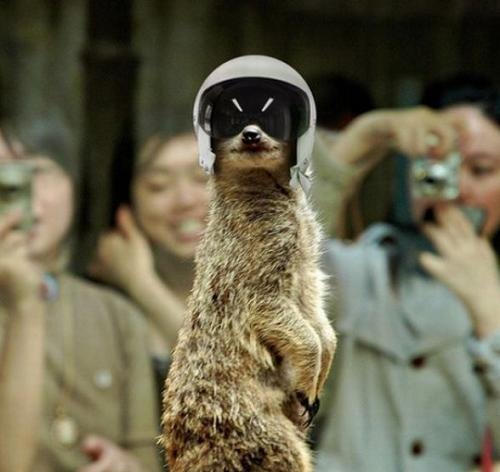 №71, Марсель Гафаров, 42 года, Днепр (Днепропетровск) №71, Марсель Гафаров, 42 года, Днепр (Днепропетровск)