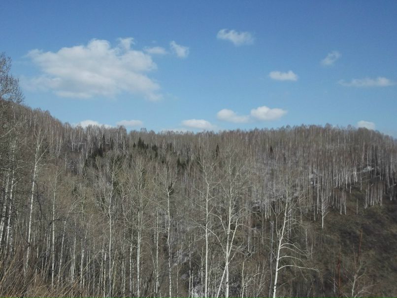 Михаил Вершинин | Междуреченск