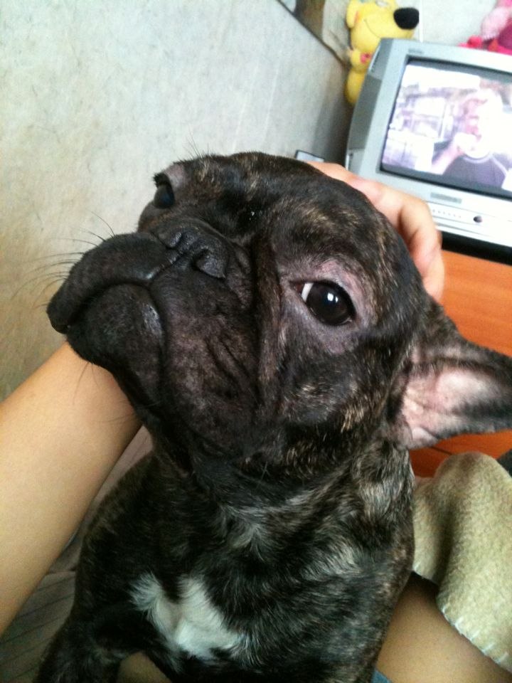 Мария Свинобоева ¤ ШУКУМАШКА ¤ | Якутск