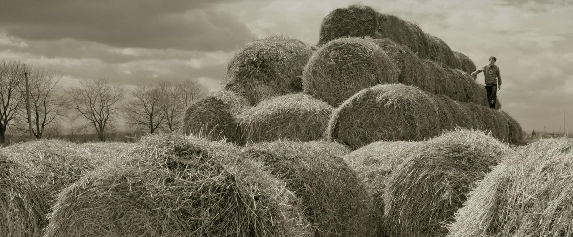 Юль Вінтонів | 