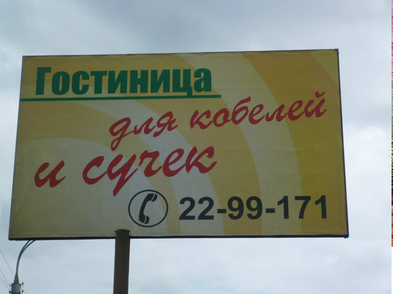 Николай Швецов | Воронеж