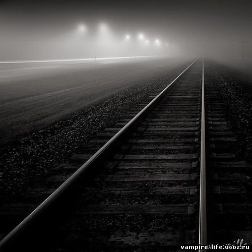 №50, Николай Поспелов, 41 год, Санкт-Петербург №50, Николай Поспелов, 41 год, Санкт-Петербург