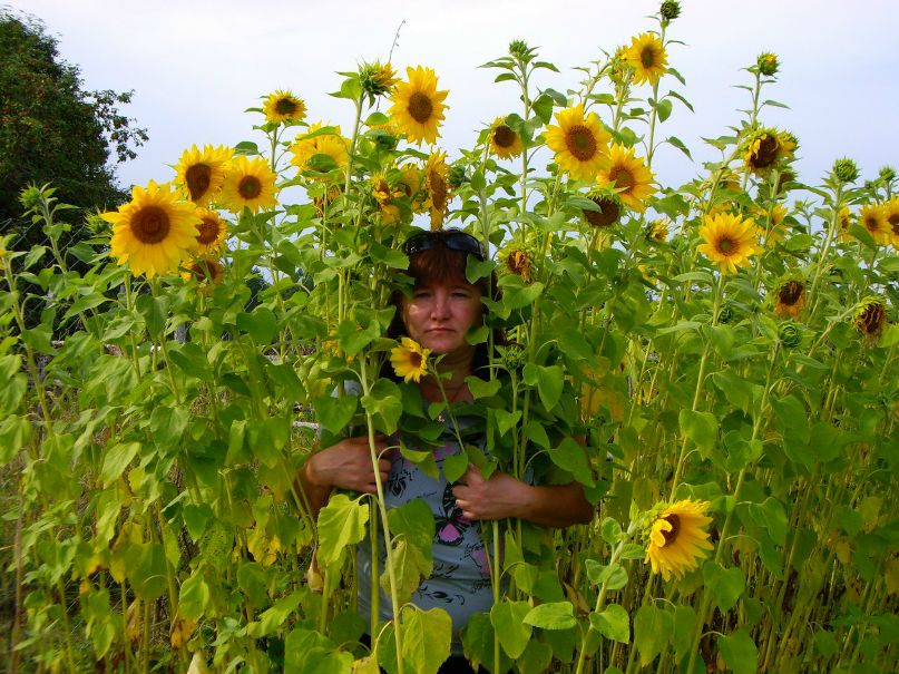 Светик Иванова львова | Валдай