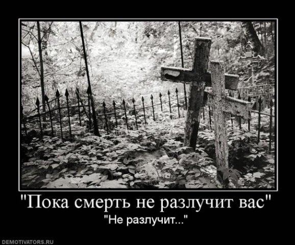 №2, Альберт Сакич, 52 года, Киев №2, Альберт Сакич, 52 года, Киев