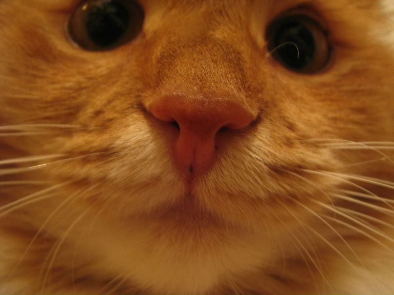 Мария Гаврилик | Санкт-Петербург