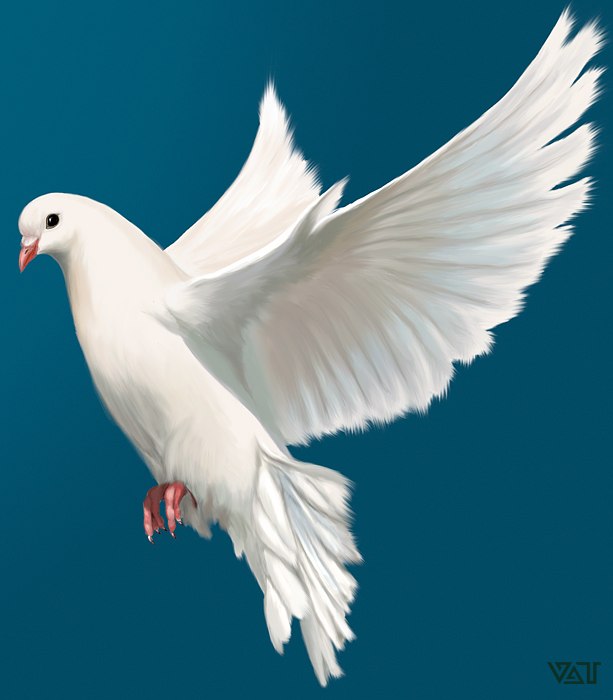 Виталик Гинько | Канибадам