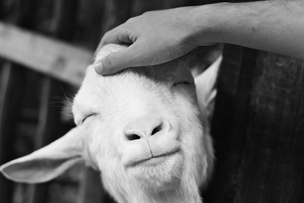 Mariya Alekseevna | Санкт-Петербург