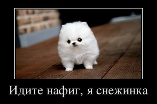 Олег М.в. | Москва