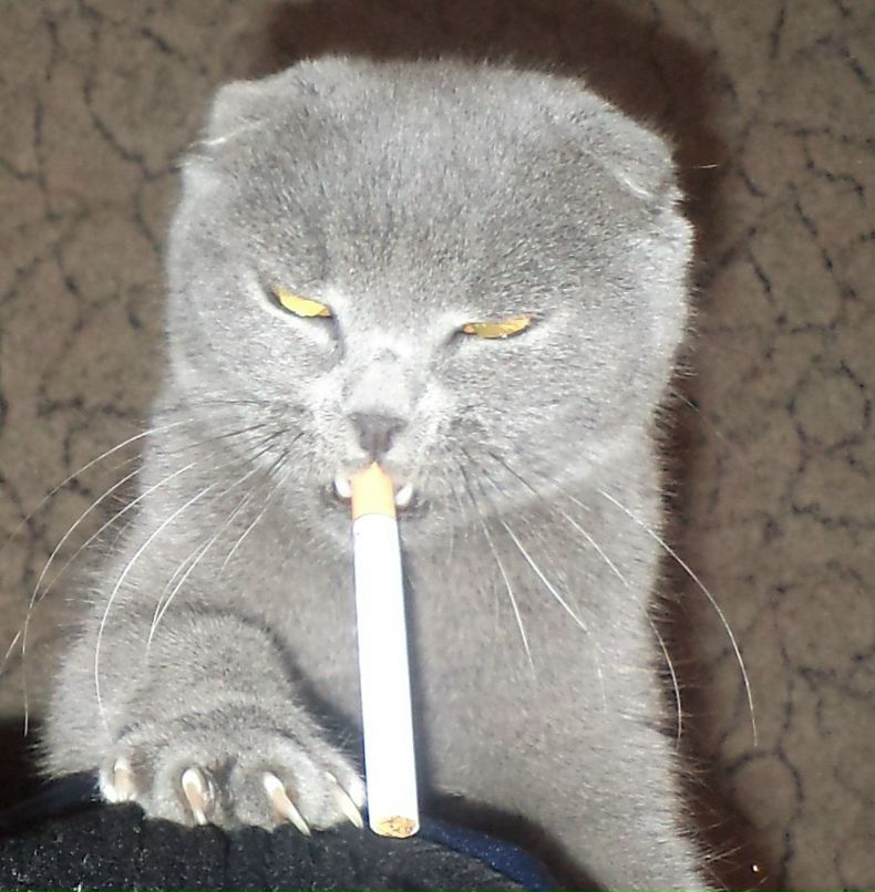 Виктор Симейко | Рубежное