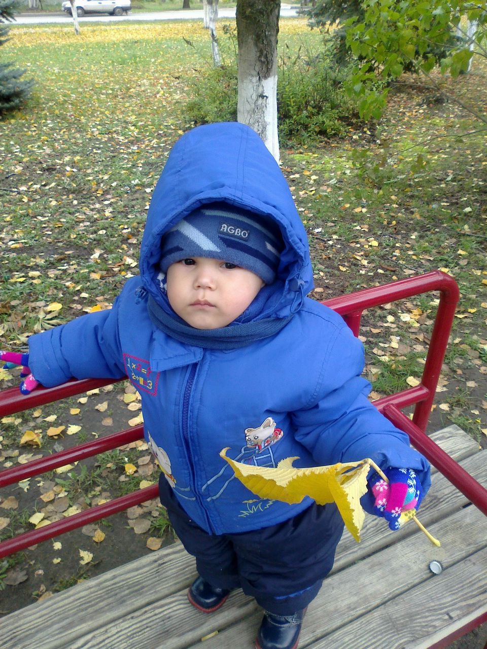 Альфия Галяутдинова | Димитровград