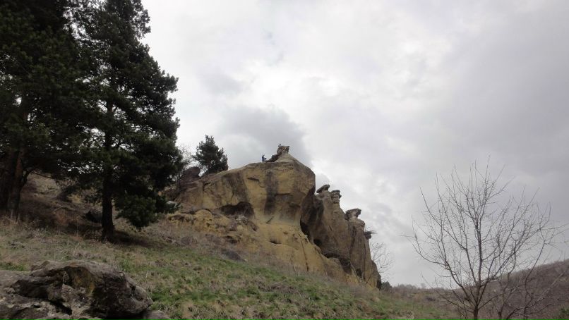 Виктория Боровик | Ростов-на-Дону