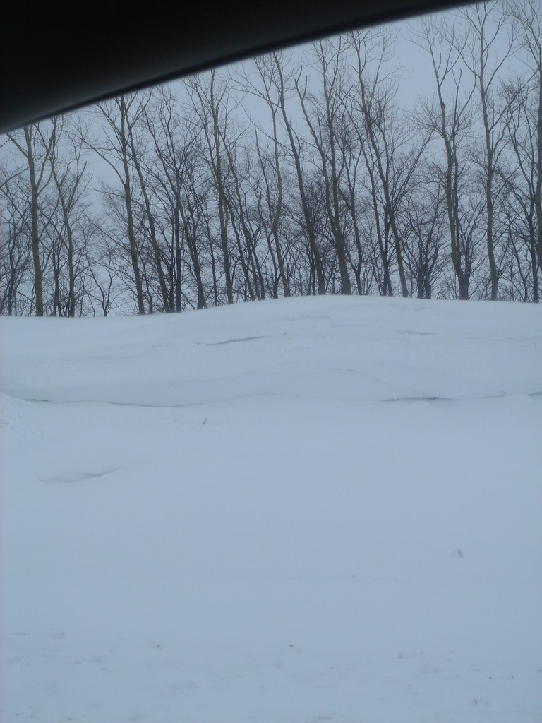 Igor Tefitylin | Пенза