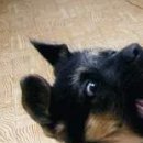 №39, Ольга Колесникова, Серов №39, Ольга Колесникова, Серов