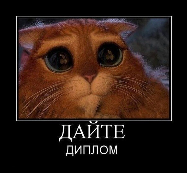 Евгения Чаева | Калуга