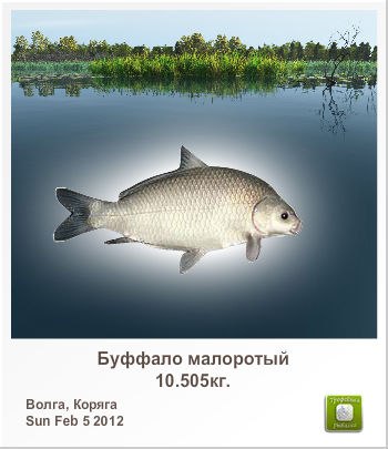 Александр Гранкин | Железногорск