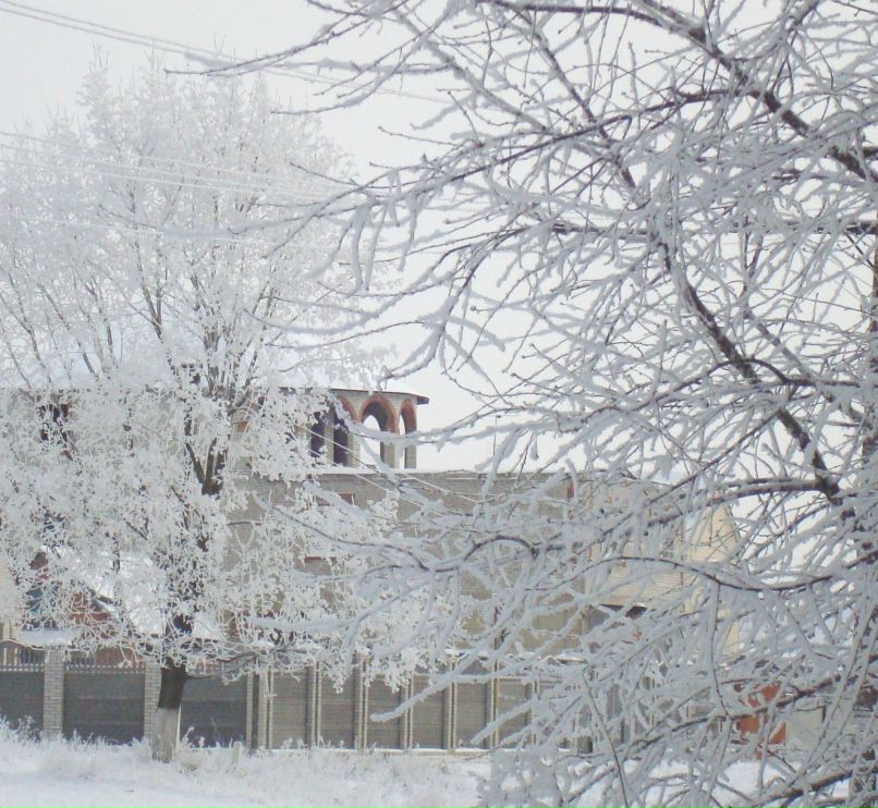 Юлия Медведь | Киев