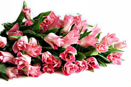 Наталья Резниченко | Пермь