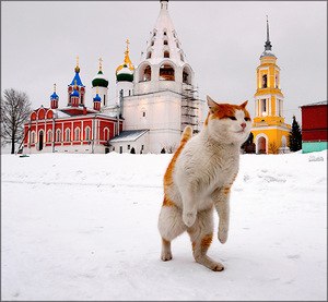 Михаил Глобенко | Москва