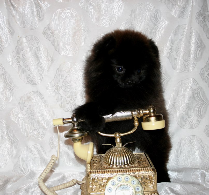 Марина Солецкая | Санкт-Петербург