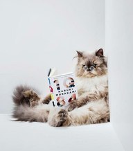 Наталья Карпова | Санкт-Петербург