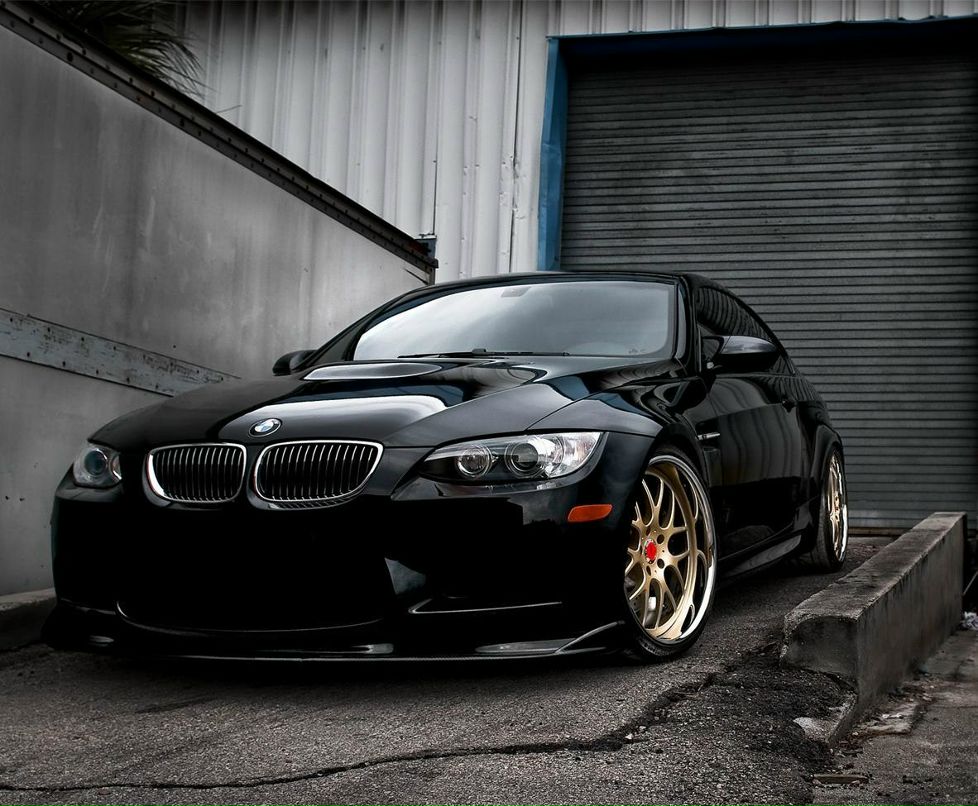 Андрей Муравей | Алматы