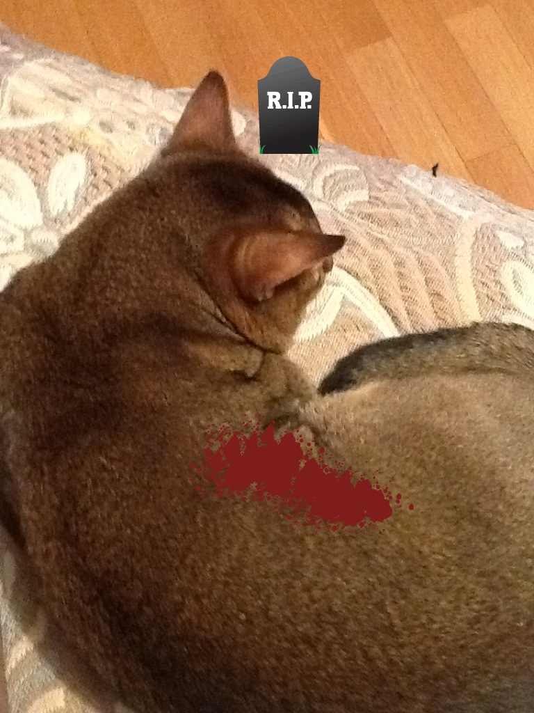 Артем Титов | Москва