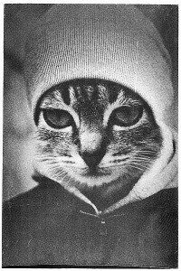 Давид Слим ★ | Москва