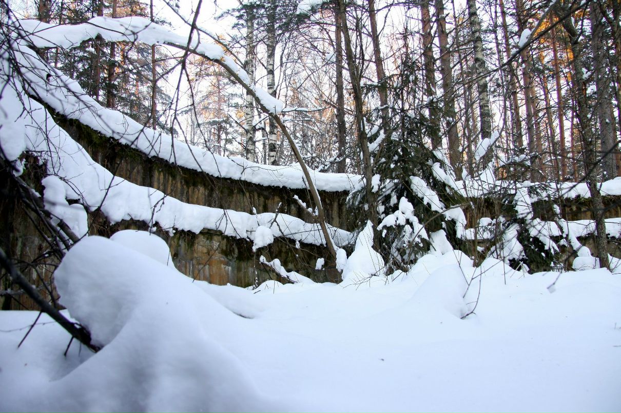 Дмитрий Паппель | Chennai
