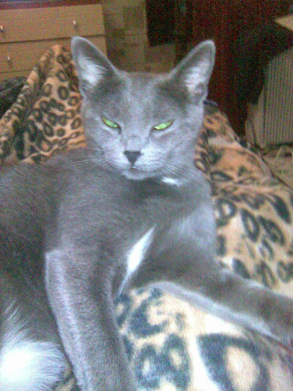 Наталья Юрченко | 