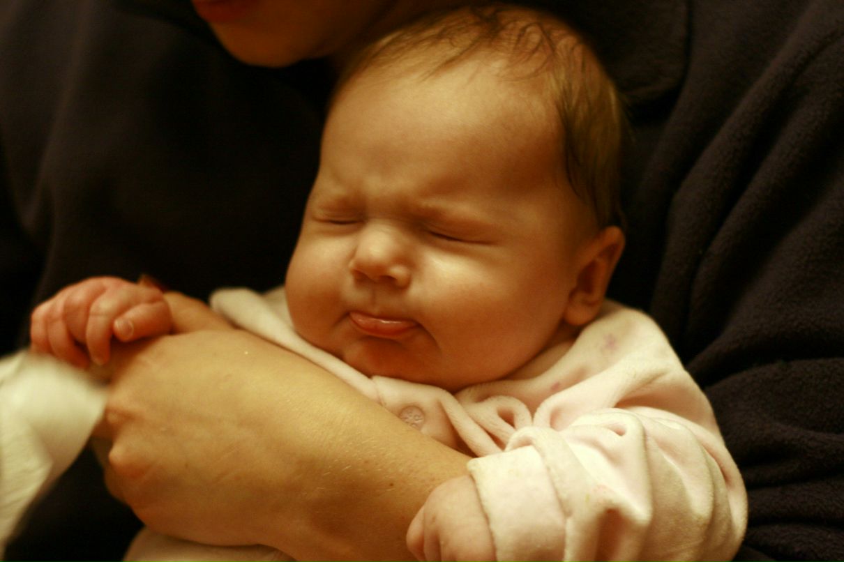 Буся Brown | Оренбург