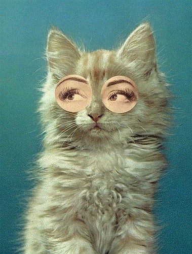 Екатерина Тырцева | Васильков