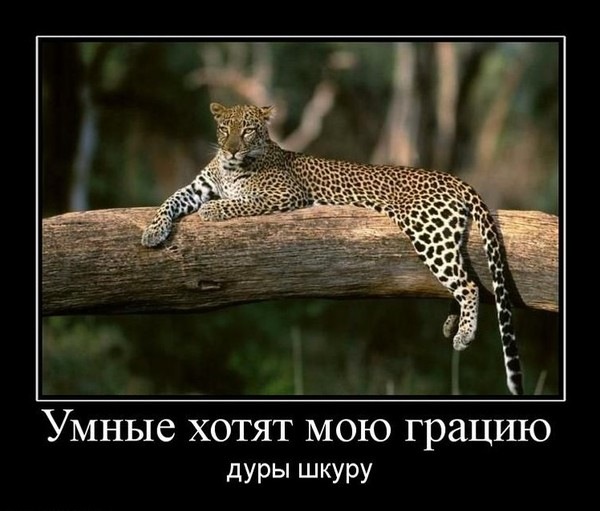№140, Юля Михальчик, 36 лет, Измаил №140, Юля Михальчик, 36 лет, Измаил