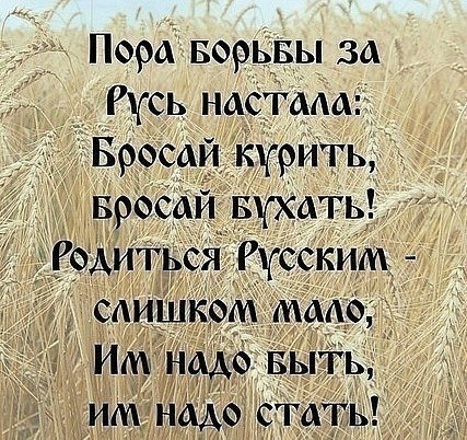 Артем Пшець | Киев