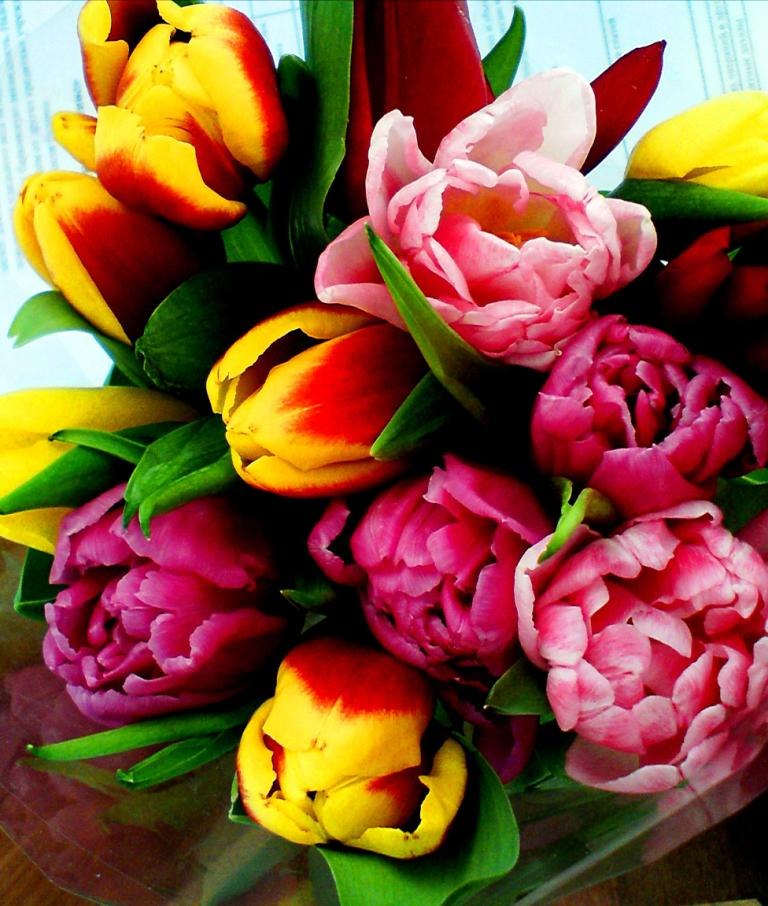 Анастасия Сутугина | Королёв