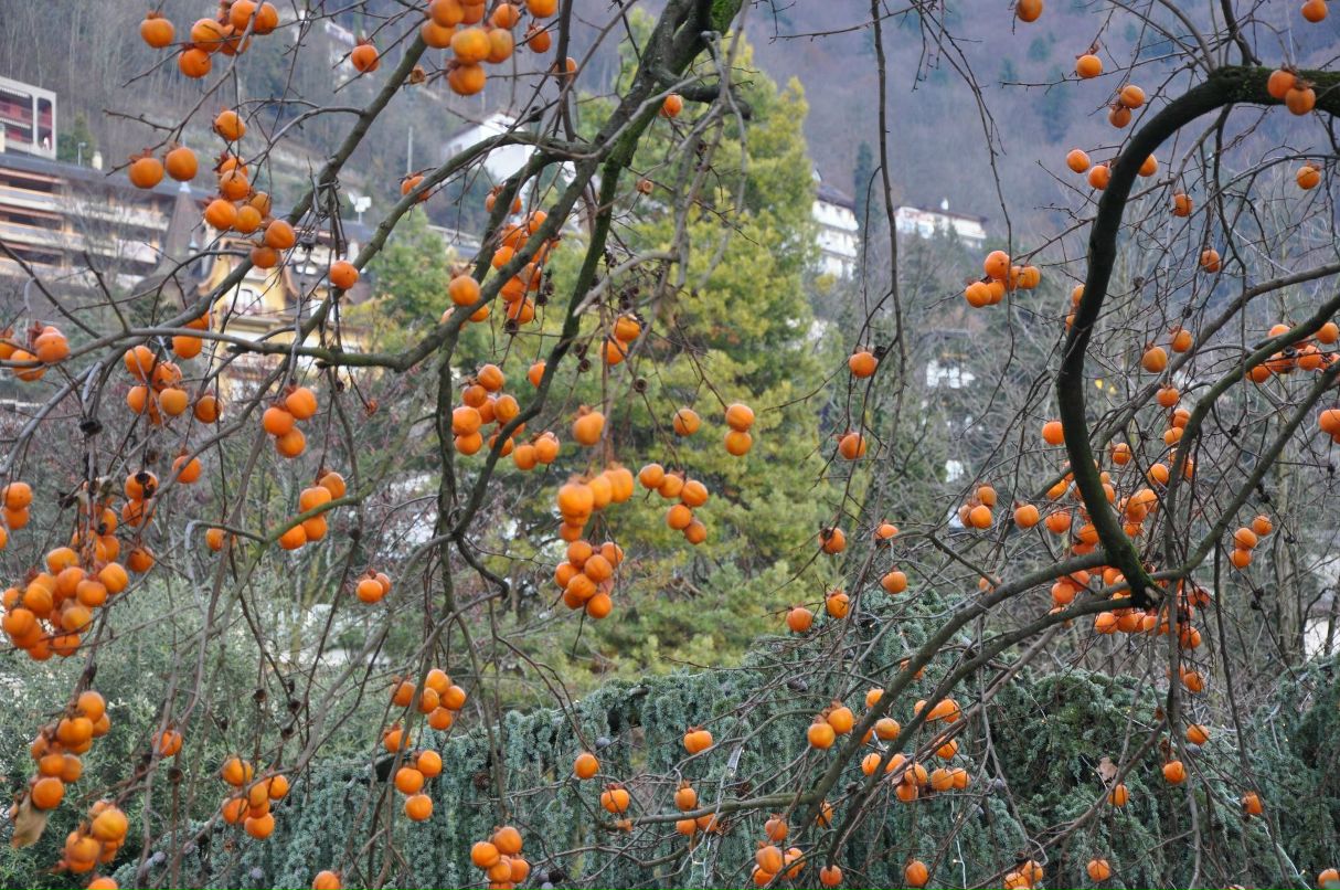 Мария Ильющенкова | Санкт-Петербург