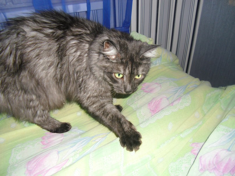 Михаил Бужацкий | Москва