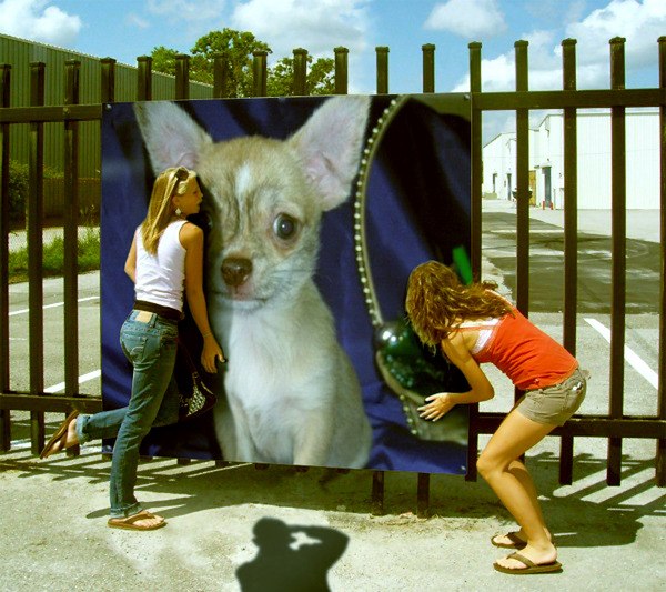 №7, Жанна Игнатьева, Санкт-Петербург №7, Жанна Игнатьева, Санкт-Петербург