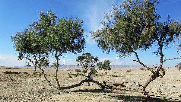 Daria Denisova | Ramat Gan