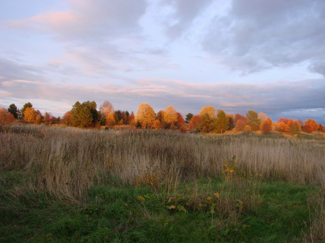 Евгений Осипов | Петрозаводск