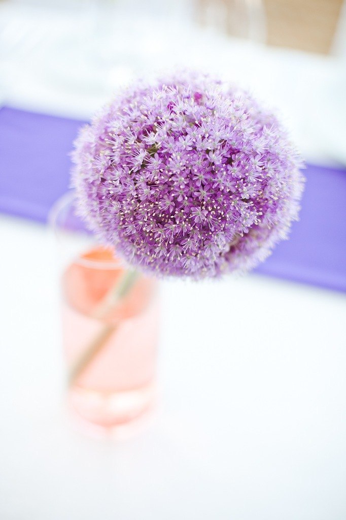 Анастасия Макарова | 