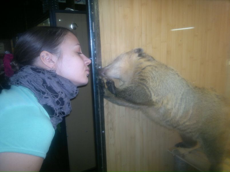 №193, Vrednaya Poganka, Дмитров, Россия №193, Vrednaya Poganka, Дмитров, Россия